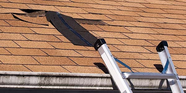 Roof Inspection and Assessment in Nairobi — comprehensive survey